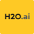 H2Ogpt logo